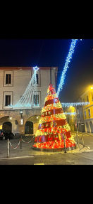 Vigilia di Natale L'Albero 11.jpeg