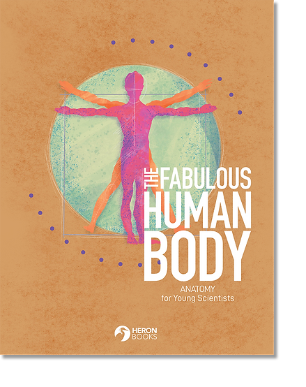 Fab Human Body cover.png