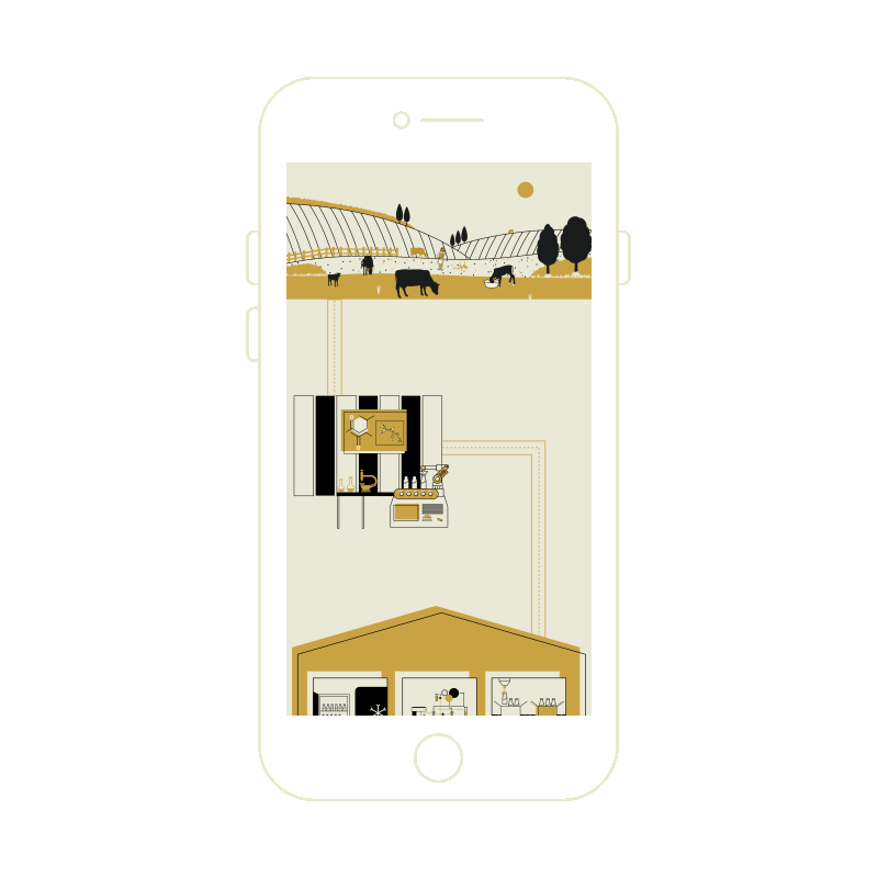 Process Scroll animation_16.02.20.gif
