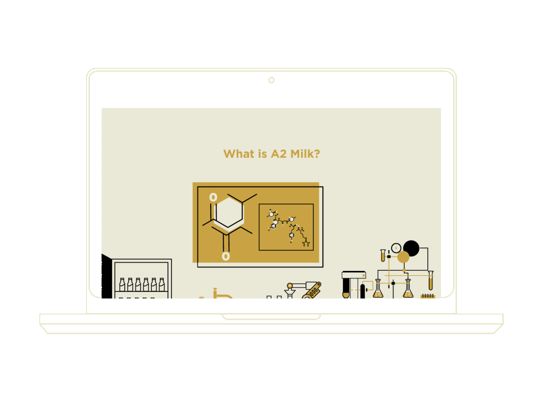 checker gif.gif