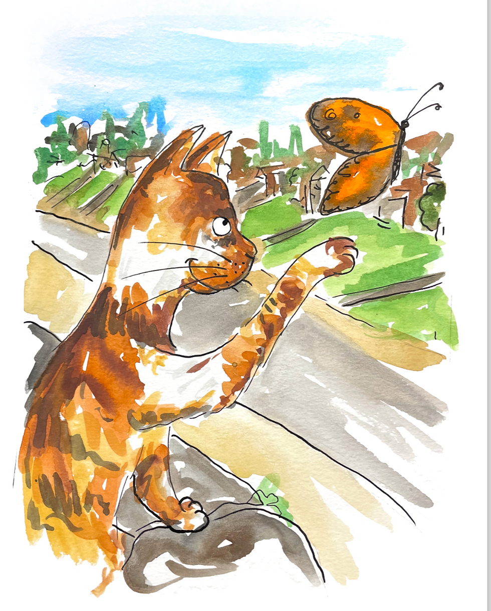 Thumbnail: Chasing Butterflies Story Book