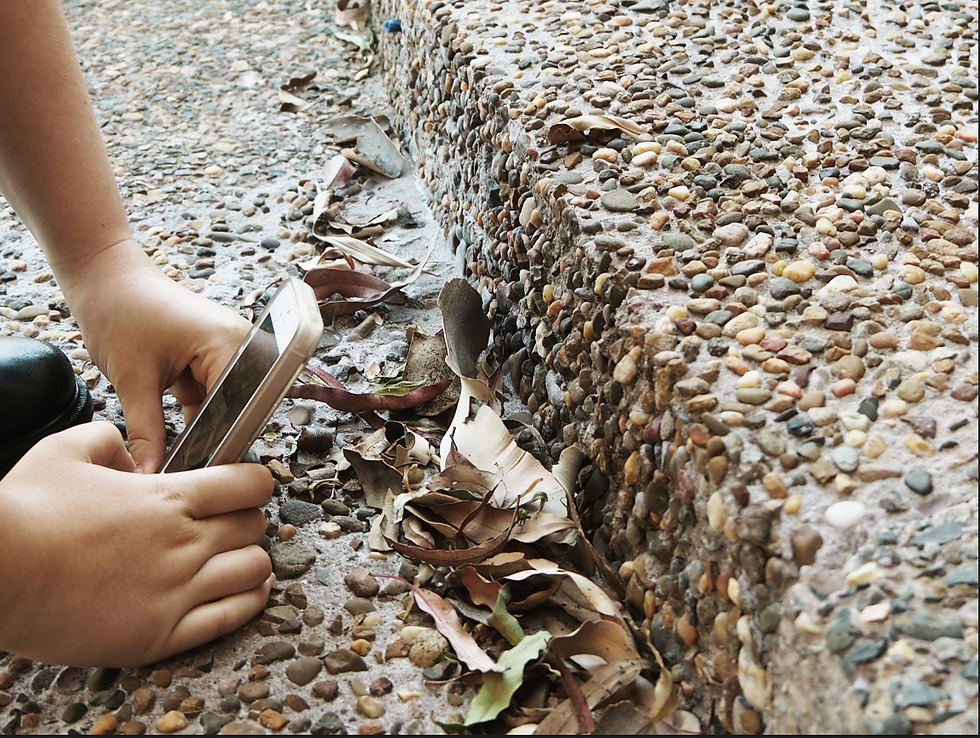 Screen Shot 2016-11-07 at 9.19.40 am