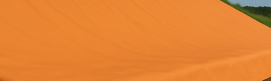 LIGHT2.png