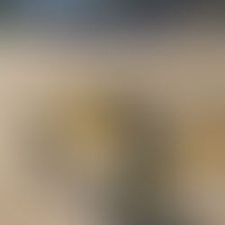 ラウンドネットの購入方法