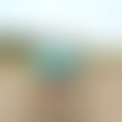 ラウンドネット日本代表インタビュー【MIKA編】