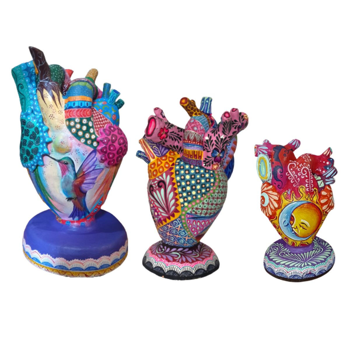 Coleccion Corazon Anatomico