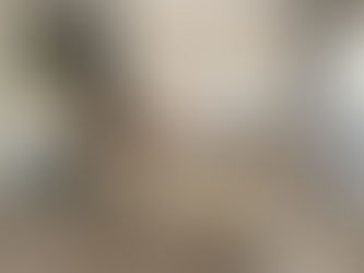 Conciergerie et Rentabilité