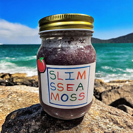 Apple - Seaweeed SeaSalad_-