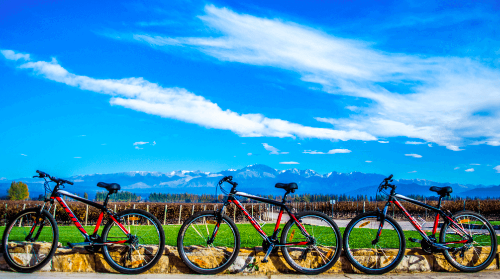 Tours de vinhos em bici
