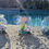 Thumbnail: Sea Creature & Bowl Set