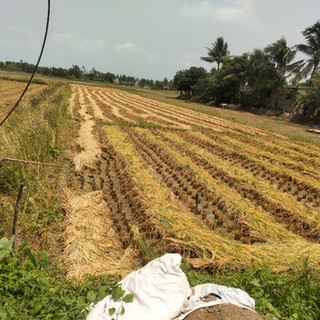 WhatsApp Image 2022-04-27 at 11.21.38 AM (1).jpeg