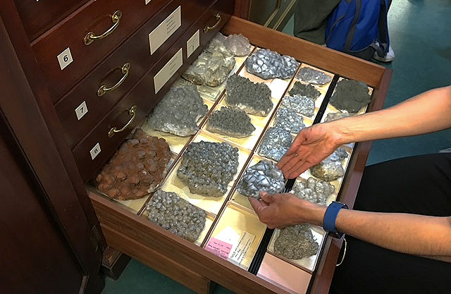 Open museum collection drawer containing organised mineral specimens at the Natural History Museum in London