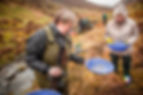 Gold panning in Scotland