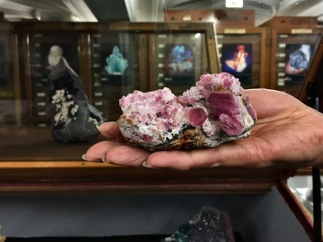 Pink crystal specimen held for closer examination inside the Natural History Museum’s mineral collection