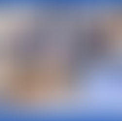 Happy National Intern Day 2023!