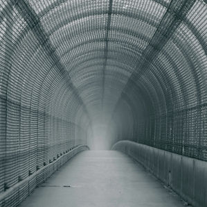 Bridges, Not Walls