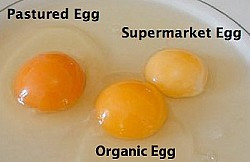 Not All Eggs Are Created Equal