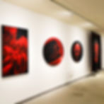 Living Colors, Vitrina Gallery - HIT, Holon