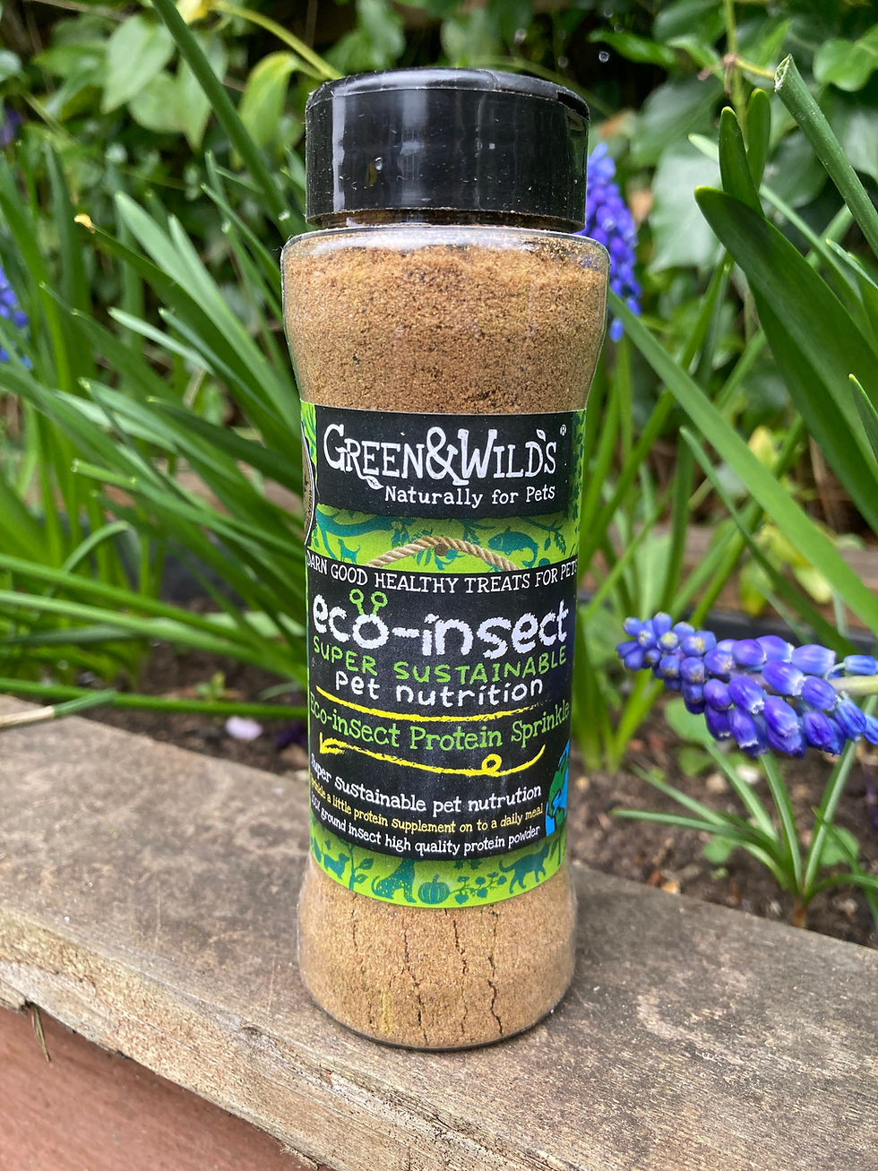 Ingrids Eco Insect Protein Powder - Super Sustainable Pet Nutrition