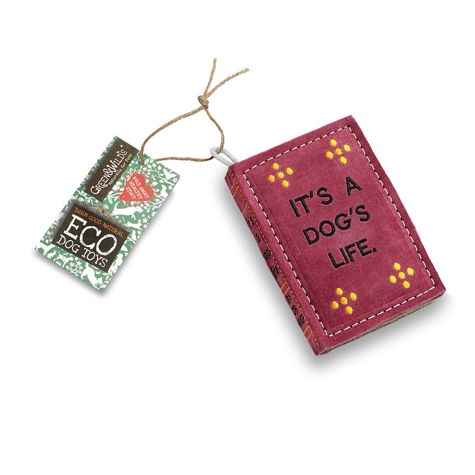book dog toy