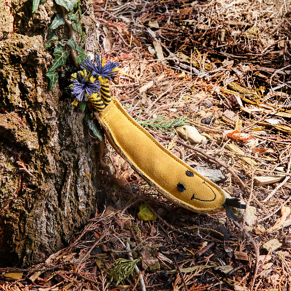 Thumbnail: Barry the Banana - Eco dog toy