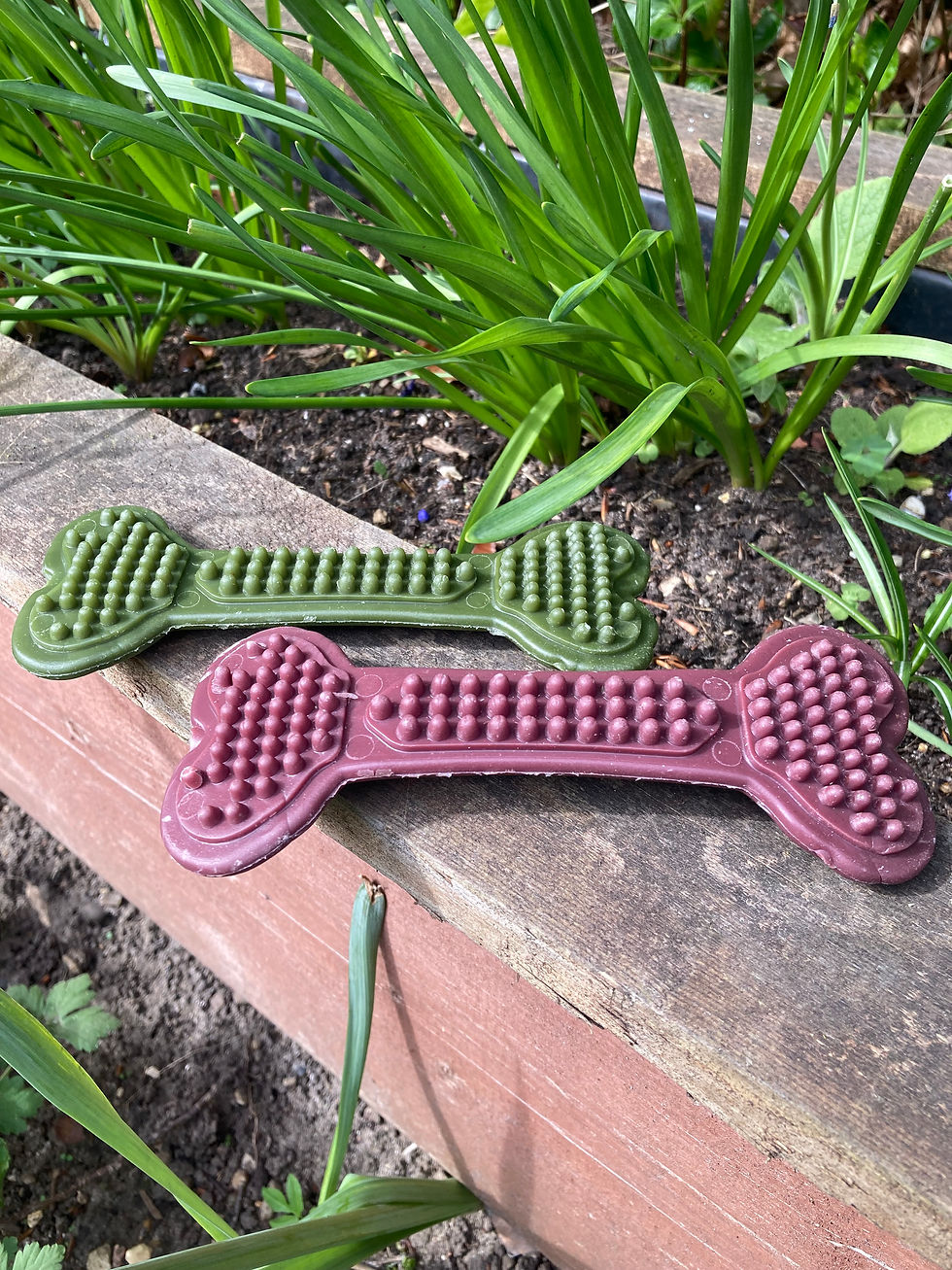 Thumbnail: Bumpi Bone Veggie Chew Dental Bone - Sweet Potato & Blueberry