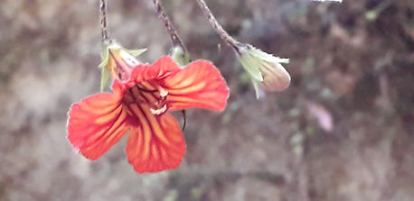 20190107_145746.jpg