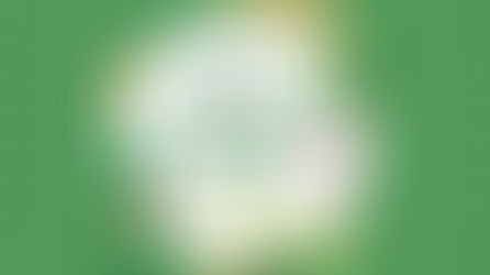 Genially Saint Patricks day