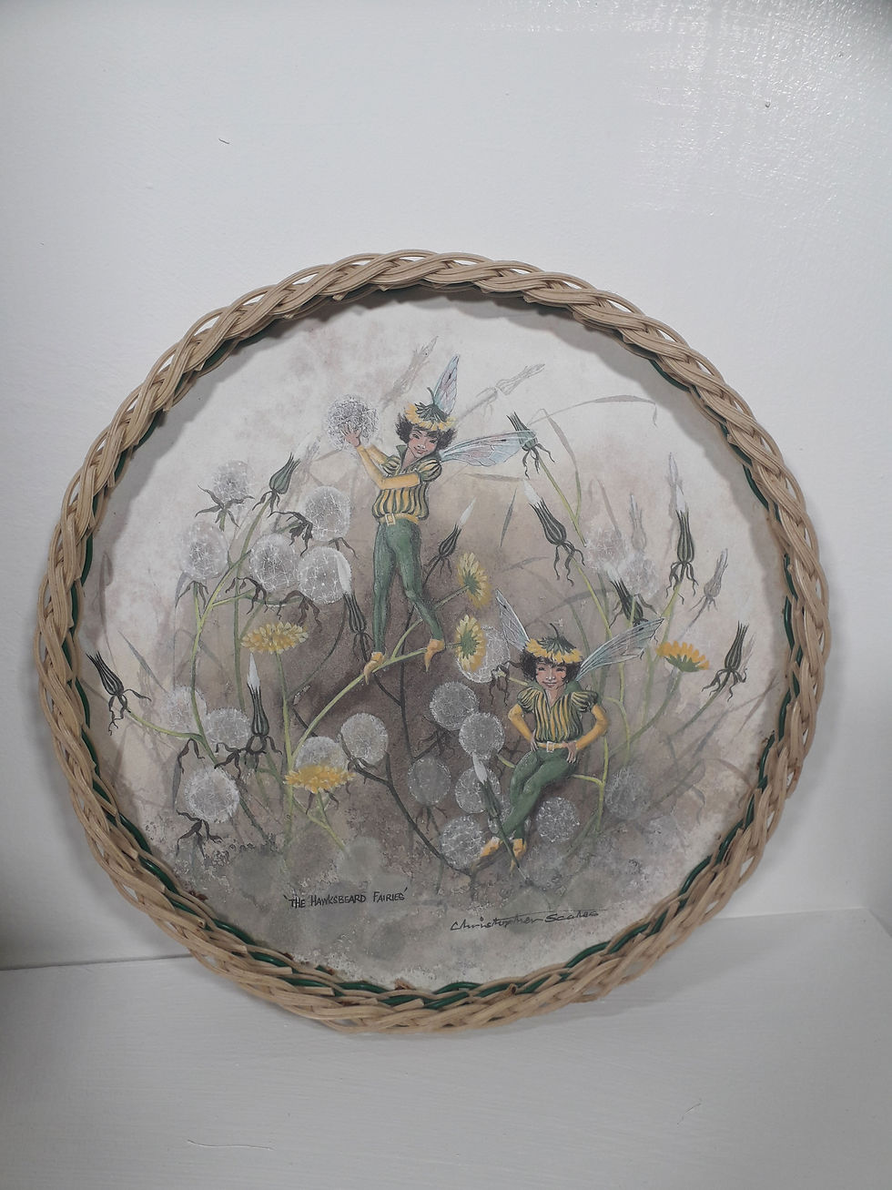 Vintage melamine Hawksbeard Fairies Tray