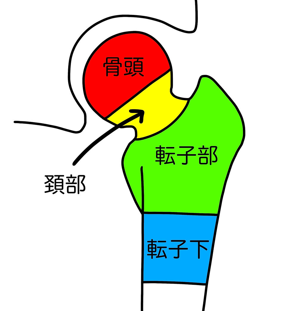 理学療法士のいるジム(東京)パーソナルトレーニングで予防とボディメイク