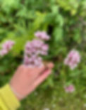 IMG_1833_edited.jpg