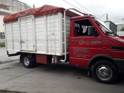 Iveco