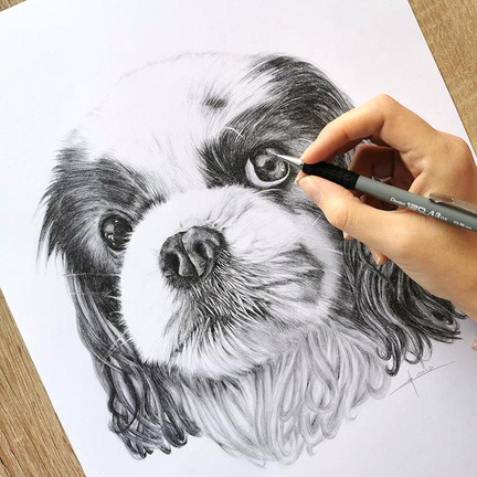 Dessin d'animal de compagnie Portrait sur mesure