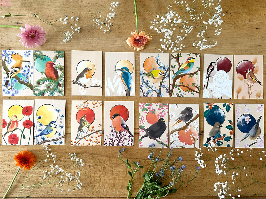 carte-postale-oiseaux