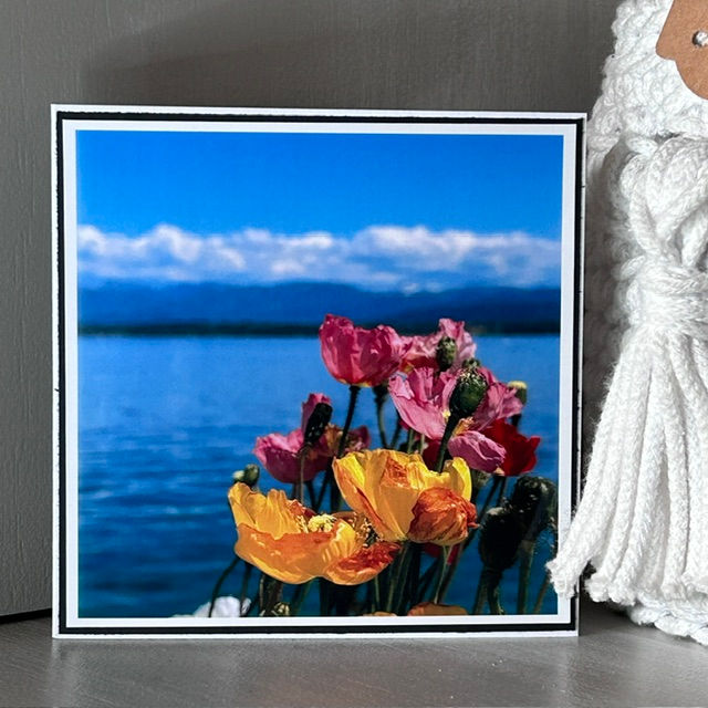Petite carte avec des fleurs roses et jaunes avec le lac en arrière plan