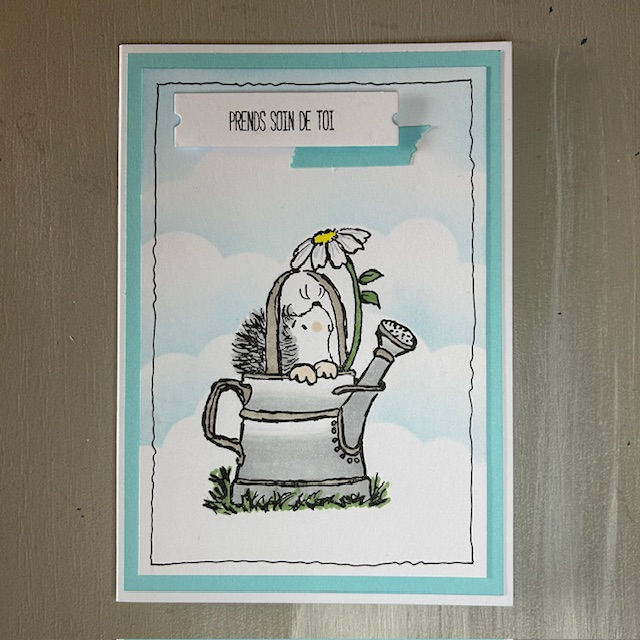 Miniature : Carte Petit hérisson dans son arrosoire