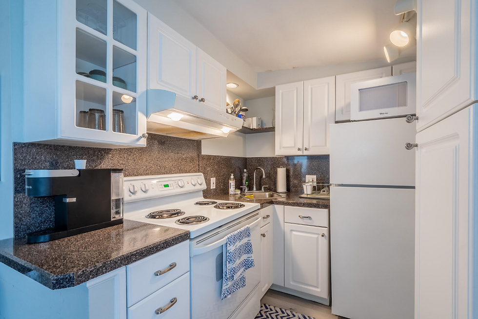 Screen Shot 2022-12-20 at 10.48.06 AM