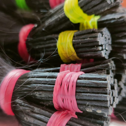 WhatsApp Image 2022-06-18 at 12.15.03 PM.jpeg