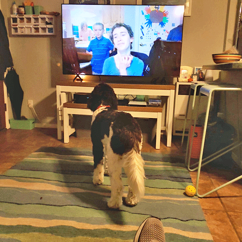 Update-37-f.gif