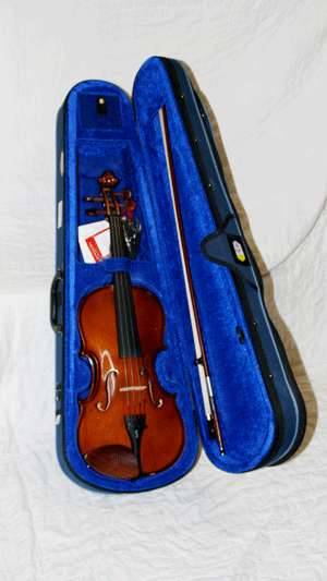 Stentor 1400 A2 Student Violin