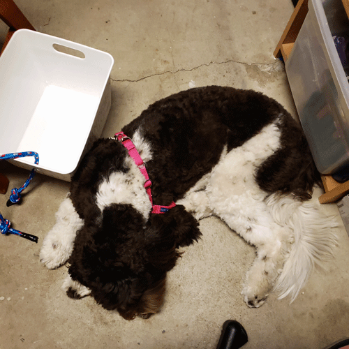 Update-37-b.gif