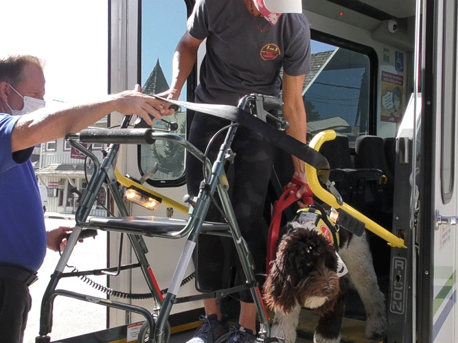 Public-Transportation-2.gif