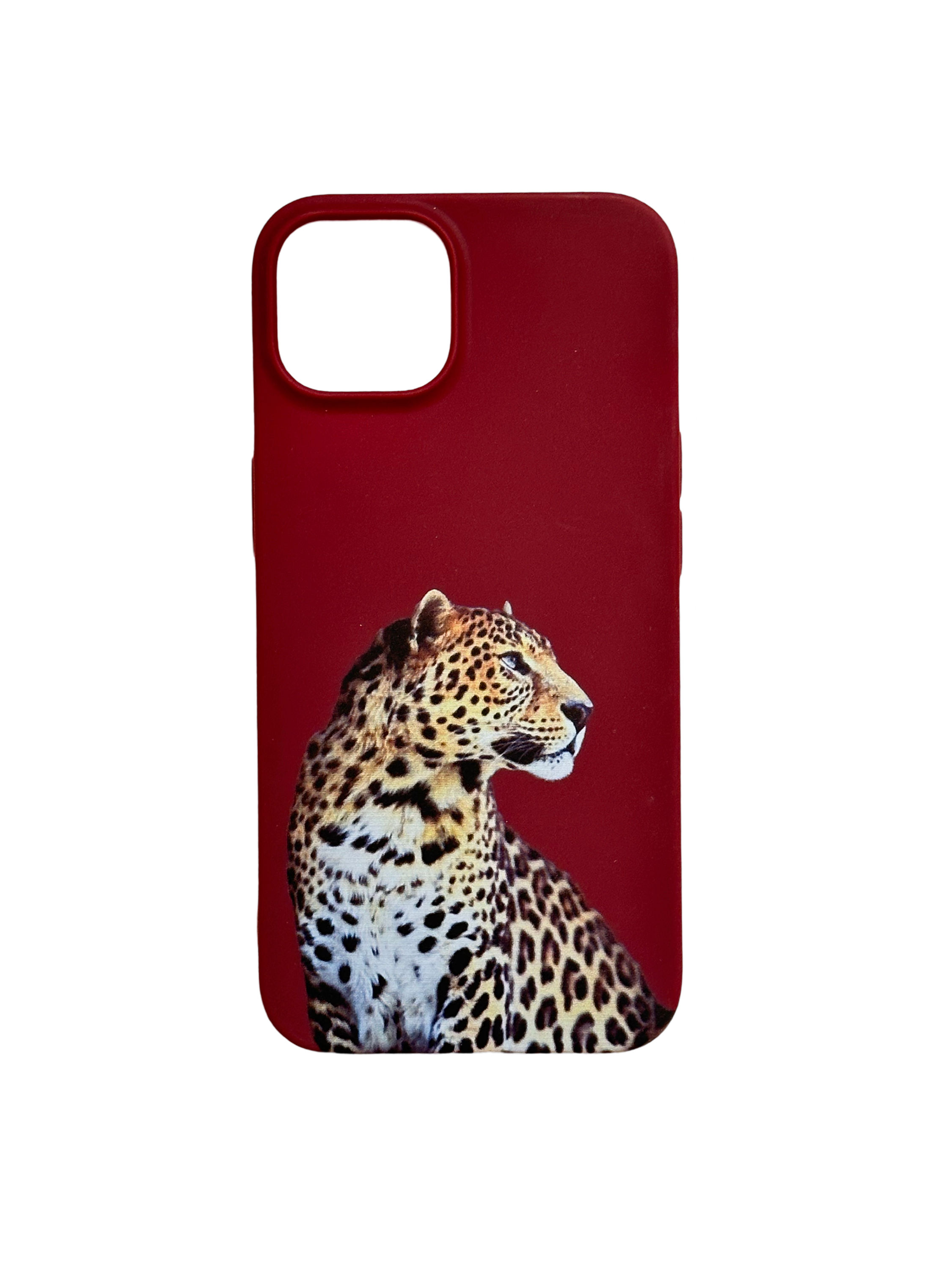 كفر الفهد Cheetah case