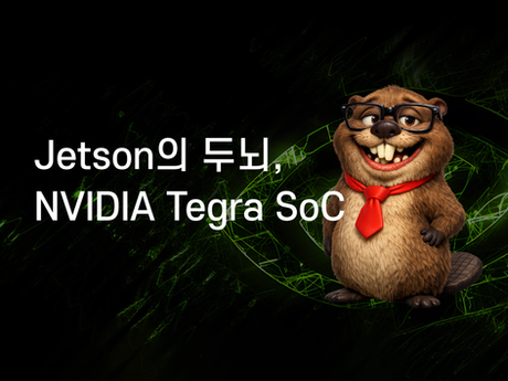 Jetson의 두뇌, NVIDIA Tegra SoC