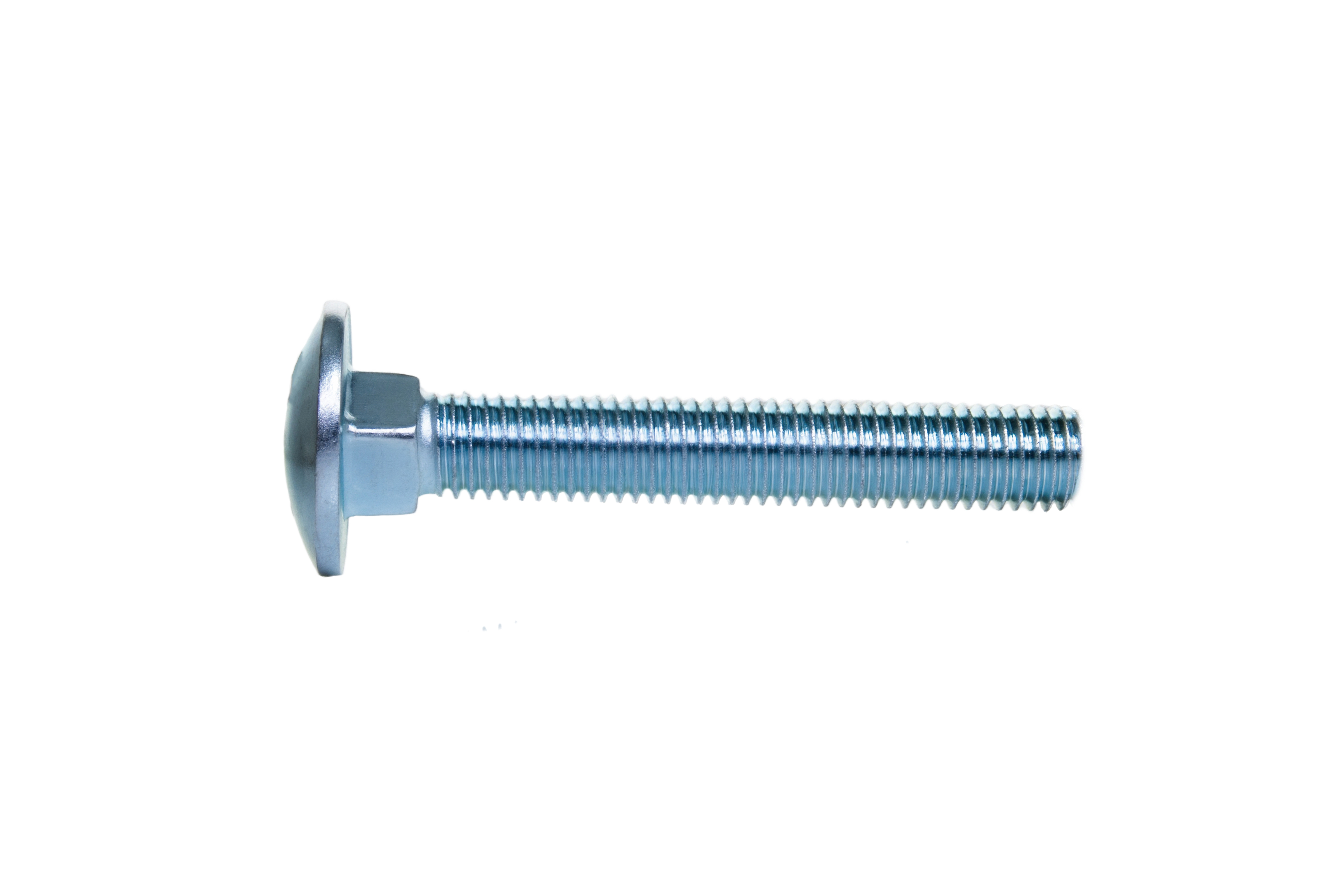 12.Carriage Bolt.jpg