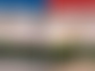 Clean vs poor hygiene bin room comparison showing waste overflow, contamination and proper bin management in strata buildings