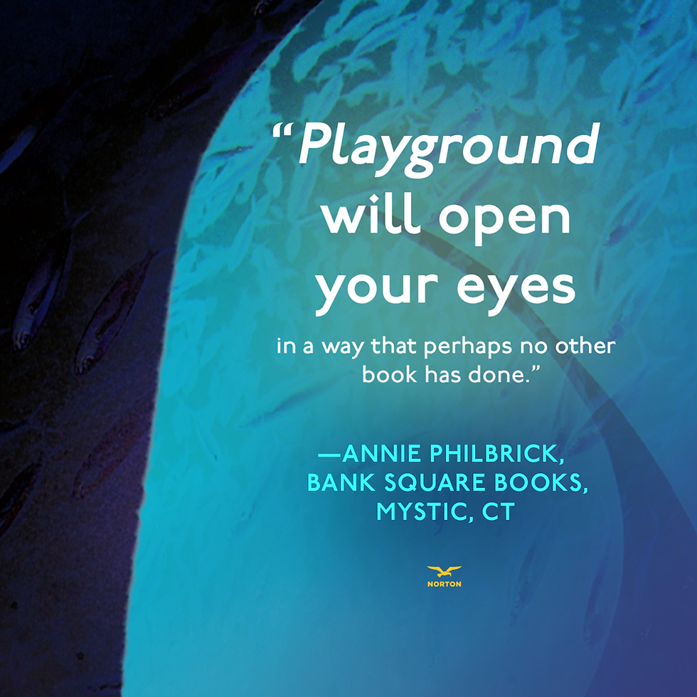 Thumbnail: Playground