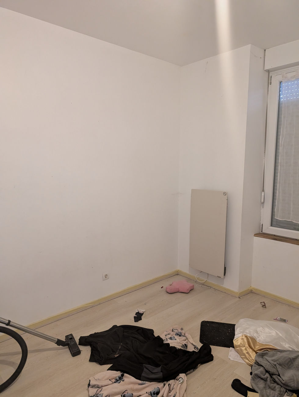 PXL_20241125_110537117