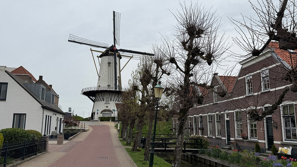 A combination of included excursions that combine history, culture, and active activity are great for all levels of interest and activities.