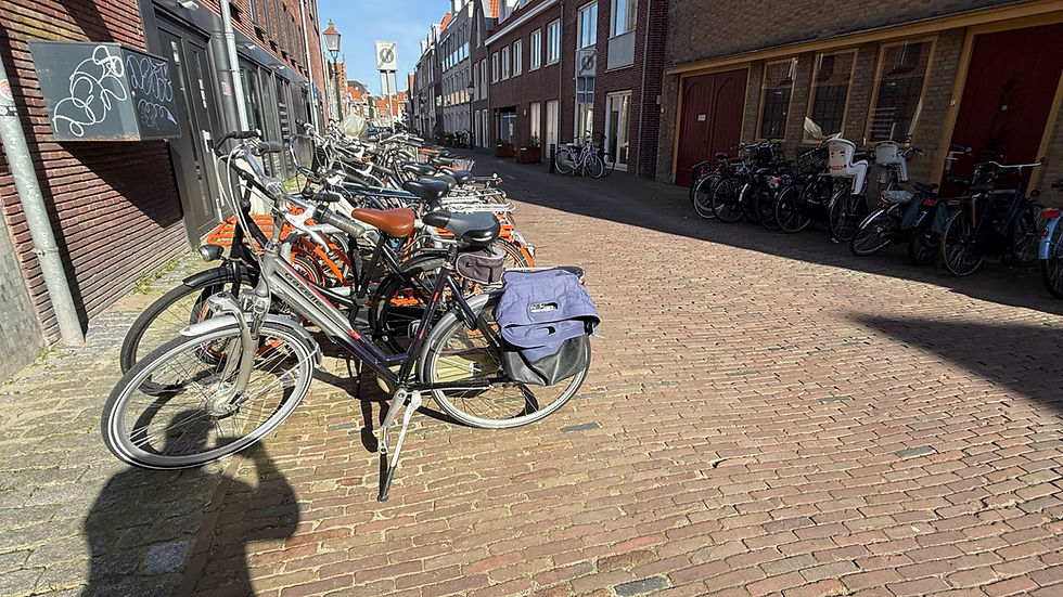 They take biking seriously in the Nederland region. With gas costing nearly $10.00 a gallon it is a primary form of transportation for many.